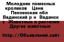Молодняк помесных кроликов › Цена ­ 300 - Пензенская обл., Вадинский р-н, Вадинск с. Животные и растения » Другие животные   